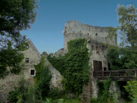 Burg Thomasberg 